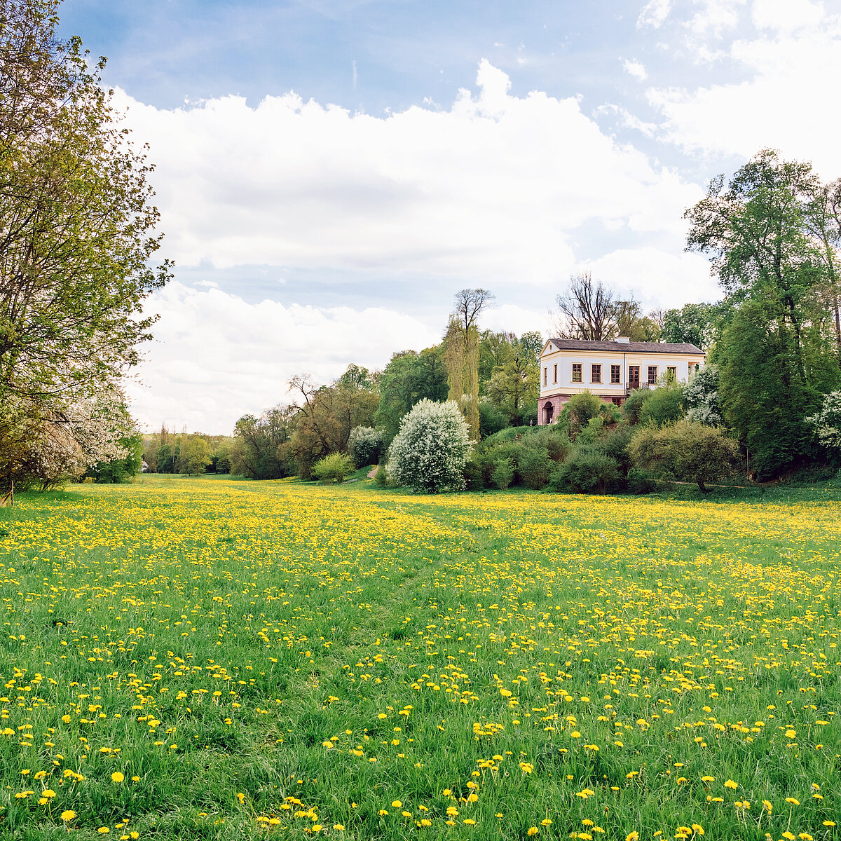 Sustainability Sustainability